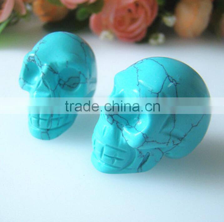 skull model human for sale