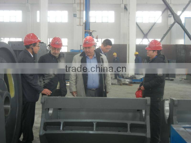 Pendulum Type Feeder With Excellent Quality From Lipu Shanghai