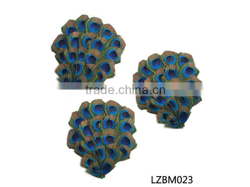 peacock feather tails pad LZBM075