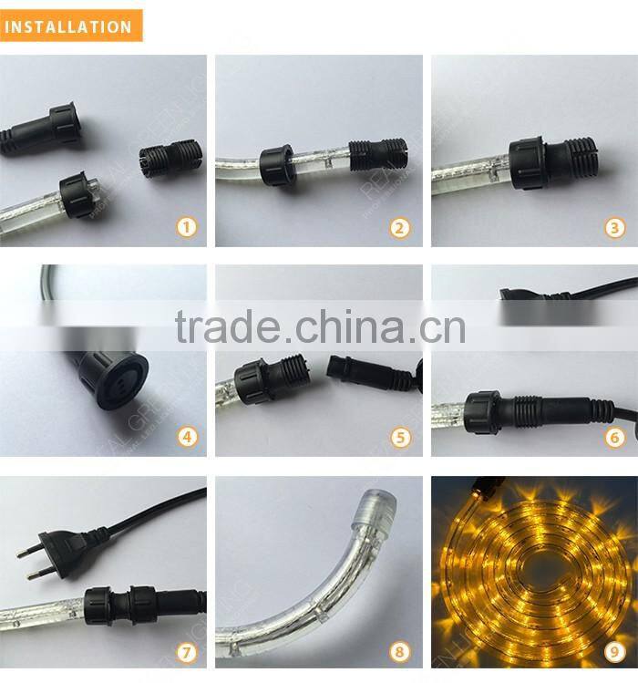 Special Decoration Amer 12V LED Rope Light