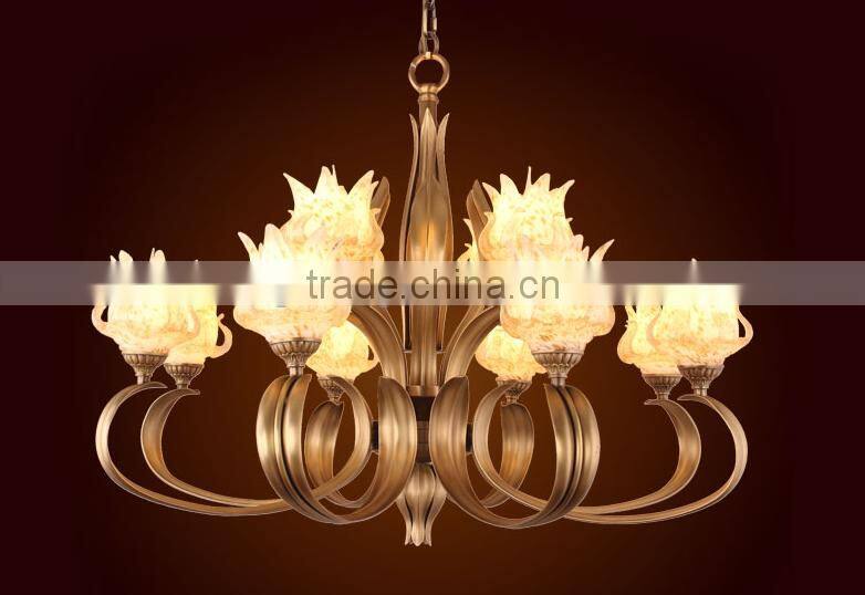 Special Metal Iron Chandelier Pendant lighting