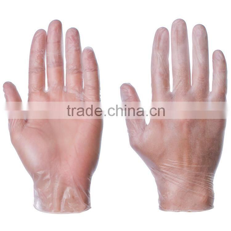 Househole disposable transparent vinyl gloves in factory cheap price wholesale