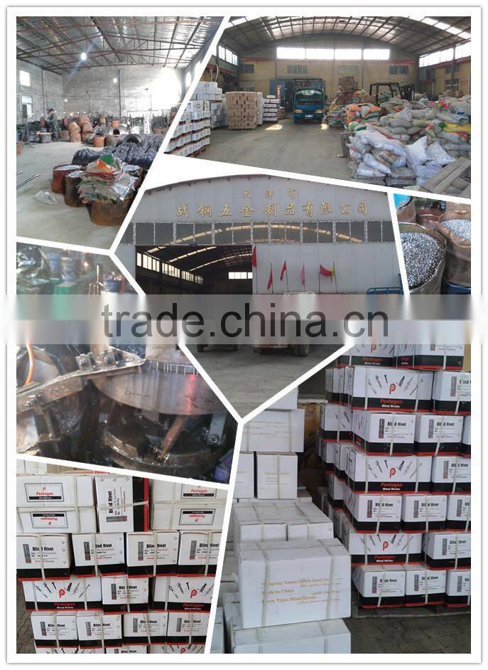 High quality Dome head waterproof blind rivet