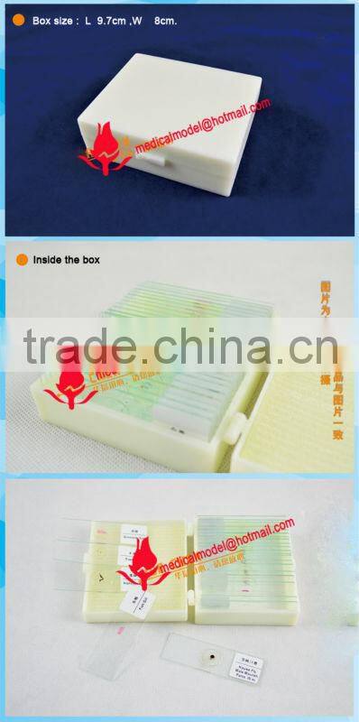 Microslide Microscope Glass Slide