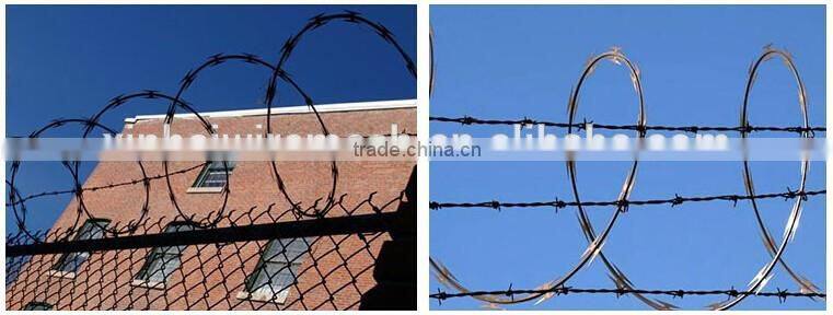 Concertina Barbed Weight Per Meter Uganda Hot Dipped Clips Razor Wire
