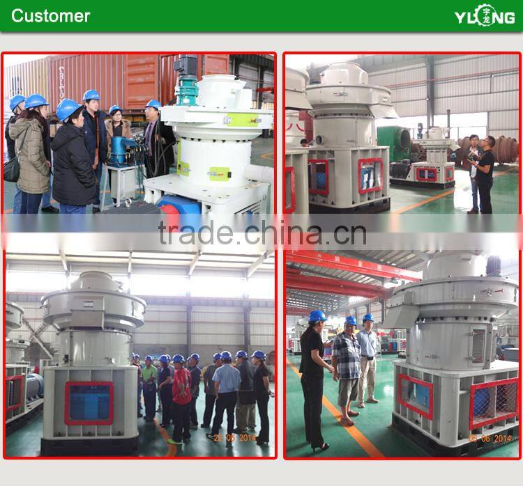 Hot Sale Rice Husk Pellet Mill for Sale