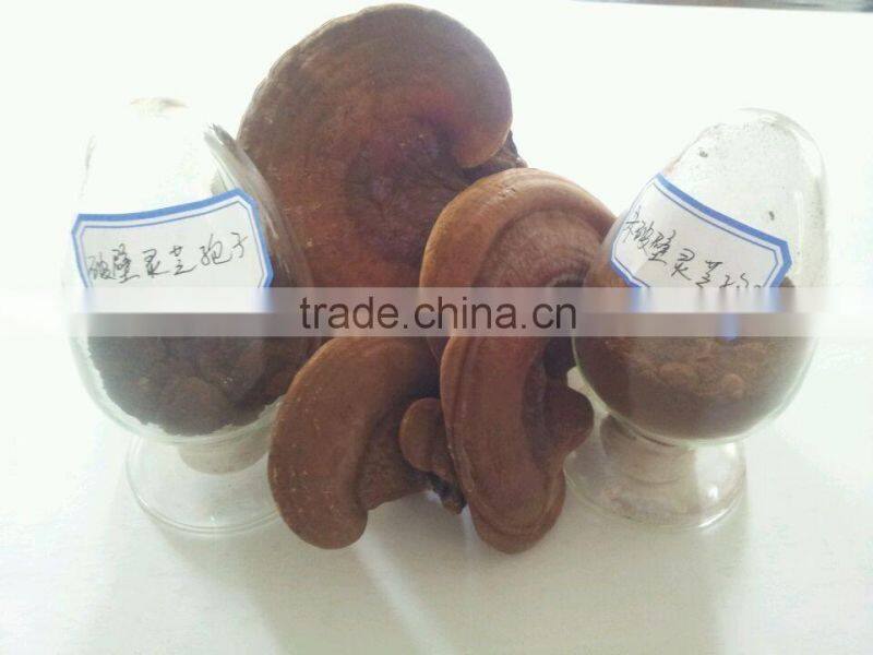 2015 new arrival customized 500 mesh sulfur grinding mill