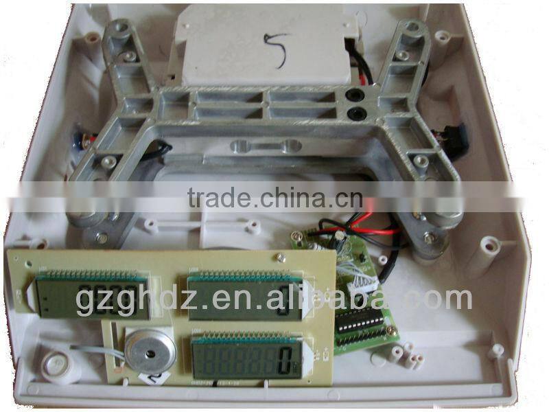 2016 new fashion design Electronic Price computer Scale with stainless steel pan OEM ODM