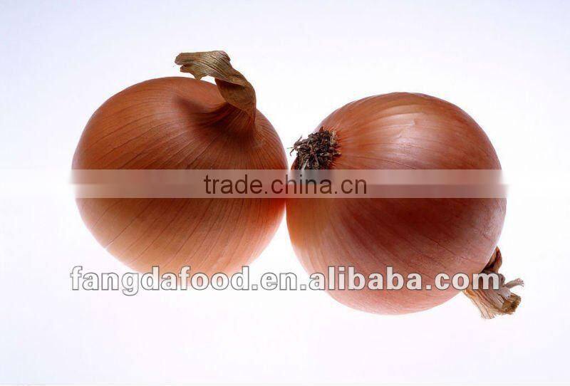 Fresh Yellow Onoion from china