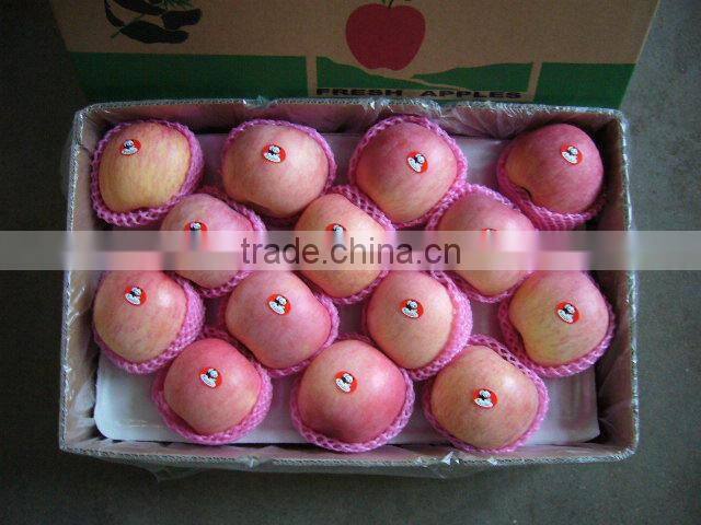 Fruit Apple Fresh Red uji Apple