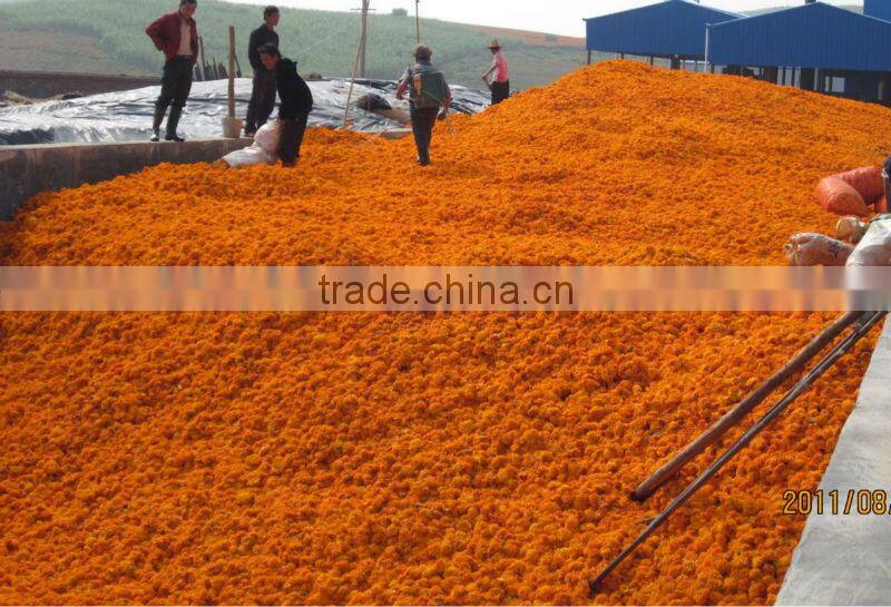 Pure lutein, Cas No.: 127-40-2