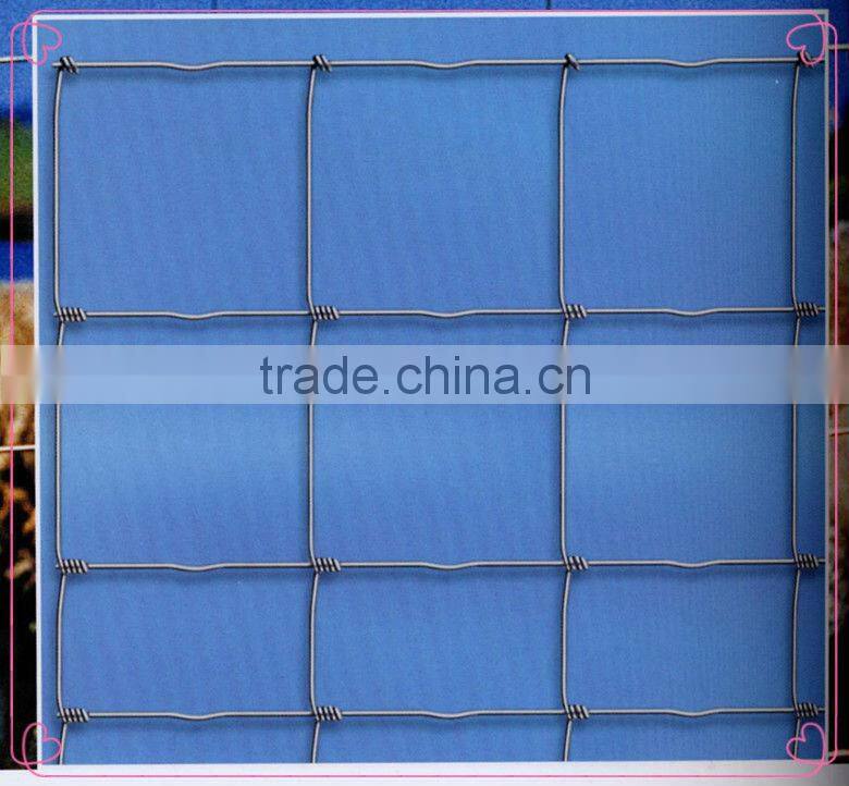 High Tensile hinge joint Field Fences 1m height 50m length roll 2mm/2.5mm wire diameter Farm cattle fence