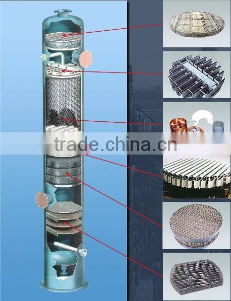 Stainless Steel Pall Ring | Random Packing | Tower Packing