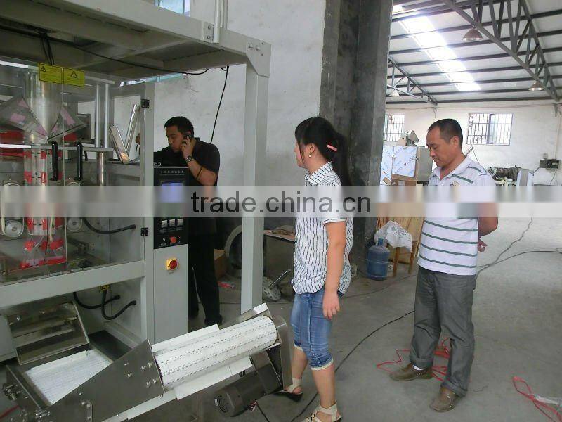 DP720 pet dog food packing machine , snack food packing machine, packing machine for food
