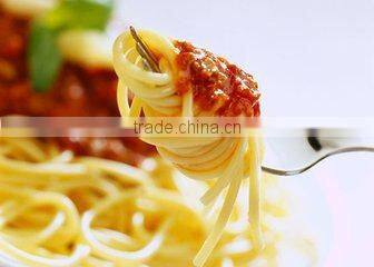 Bench top Electric Pasta Cooker