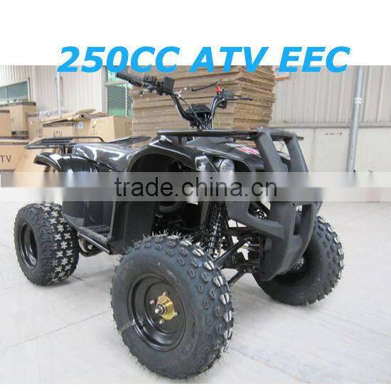 110cc/125cc atv,quads for sale,cheap atv quad dune buggy military vehicles(JLA-11-2)