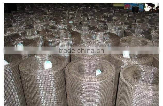 PVC Coating square Wire Mesh/green pvc coating wire mesh/wire mesh in roll skype id