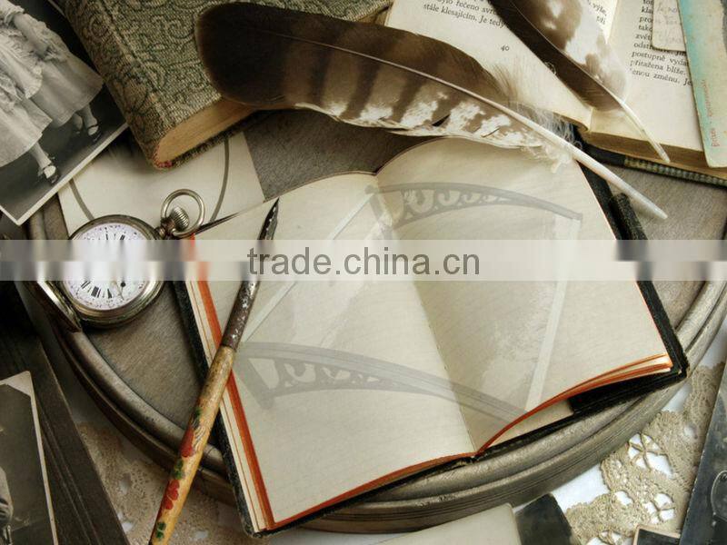 patio polycarbonate shelter