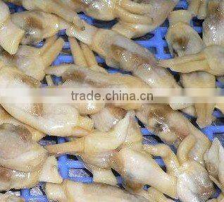 Frozen Vacuum Razor Clam Meat