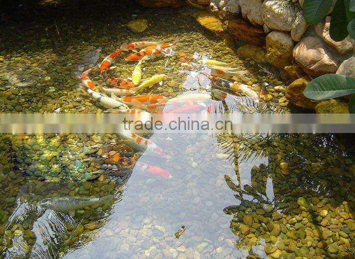 China supplier low price fish pond filter (EF-15000) for fish farm