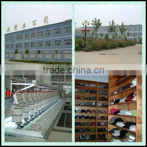 2012 new fashion straw baseball caps