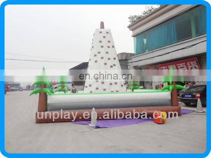 Adult climbing rock climbing walls