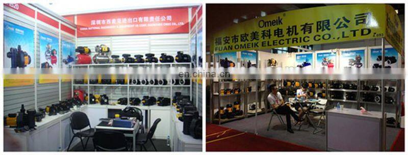 ML series 70w motor small induction motor single phase 300w