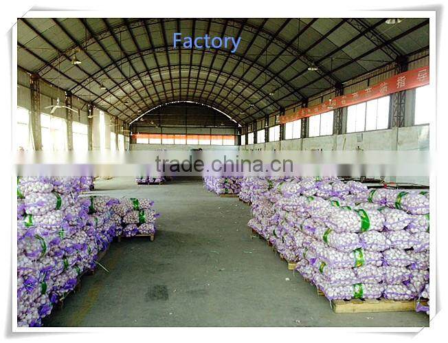 2016 new crop fresh garlic in 10kg mesh bag and carton China export garlic