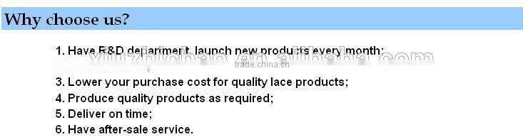 T0520-1China supplier fashion OEM design corded lace trim floral voile saree border