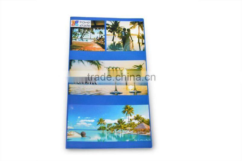 CMYK Printing PVC Ticket Holder with Two Clear Pocket