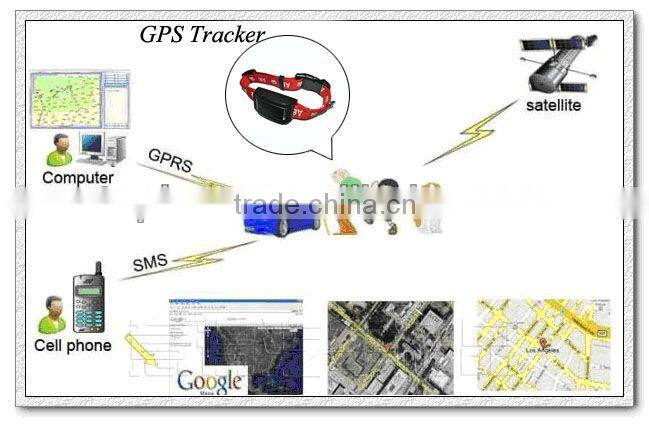 Toplovo TL301 GPS Tracking Chip for Dogs with Shake Motor, GEO FENCE Alarm, Night Light