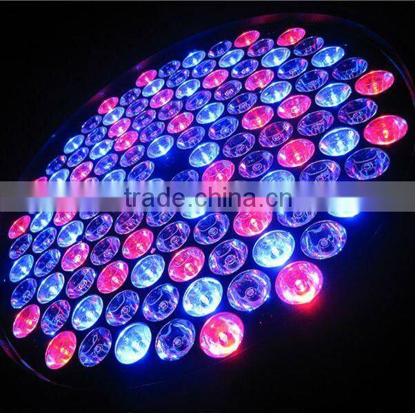 professional led 120pcs*3W RGBW led par stage lighting