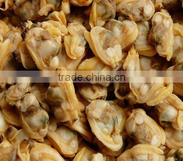 Frozen boiled clam meat seafood