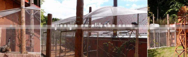stainless steel aviary cage netting bird aviary netting