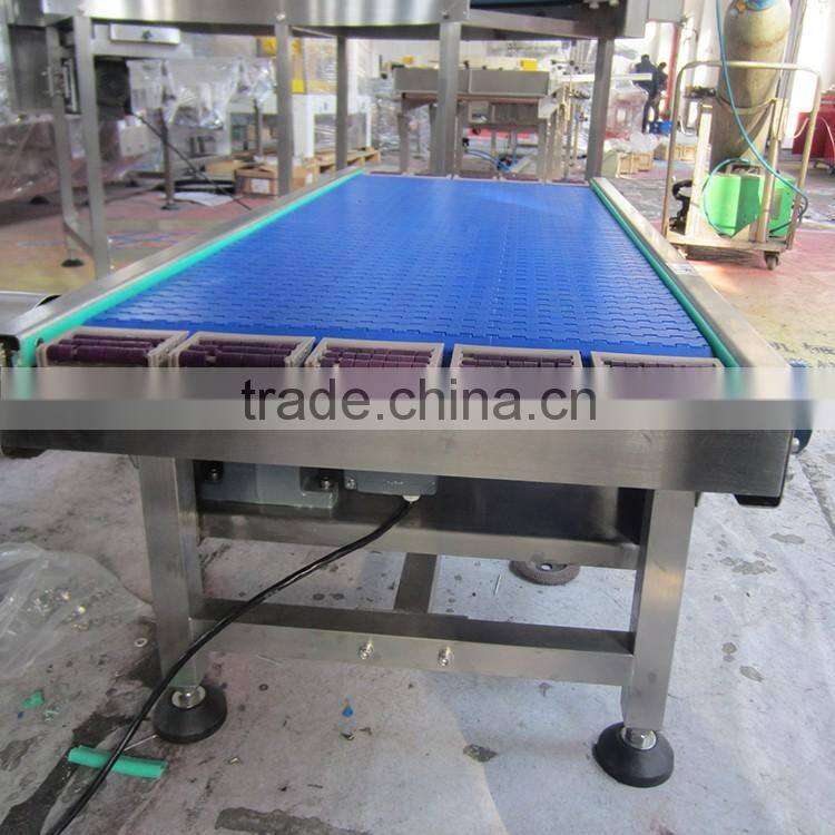 straight running modular conveyor system line for food transfer