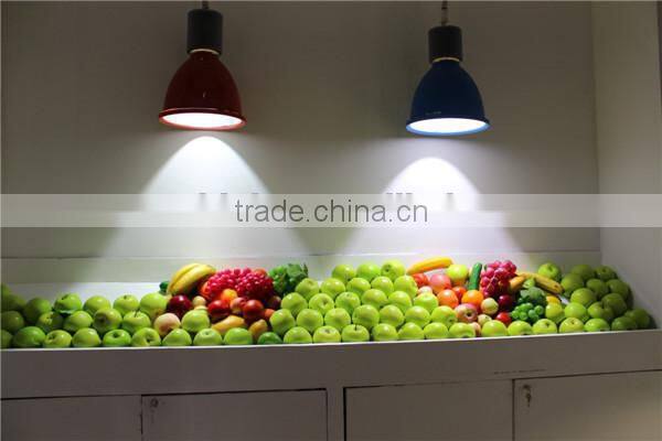 Led Fresh Light With High CRI For Supermarket Meat and Vegetalbes