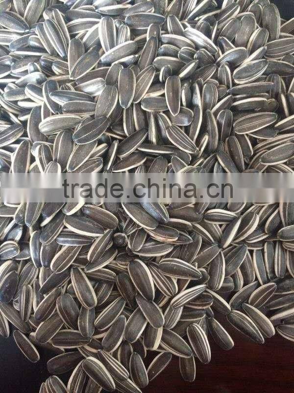 New Crop Chinese Sunflower seed 5009/3638/0409 on promotion for sale