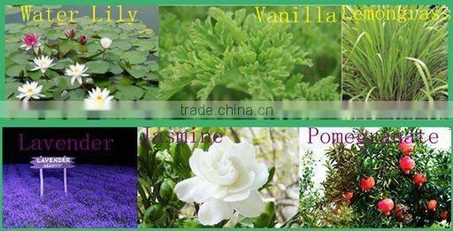 Gift Handmade Long Burning Candle Set