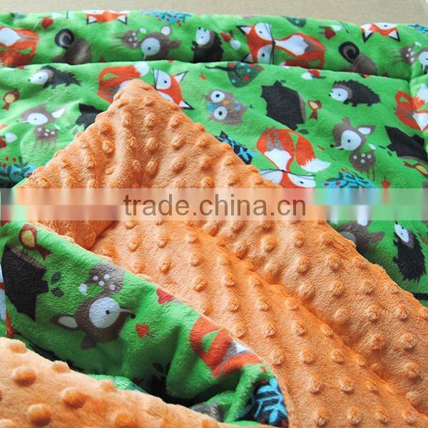 China wholesaler professional in making skin friendly washable minky printed baby quilt