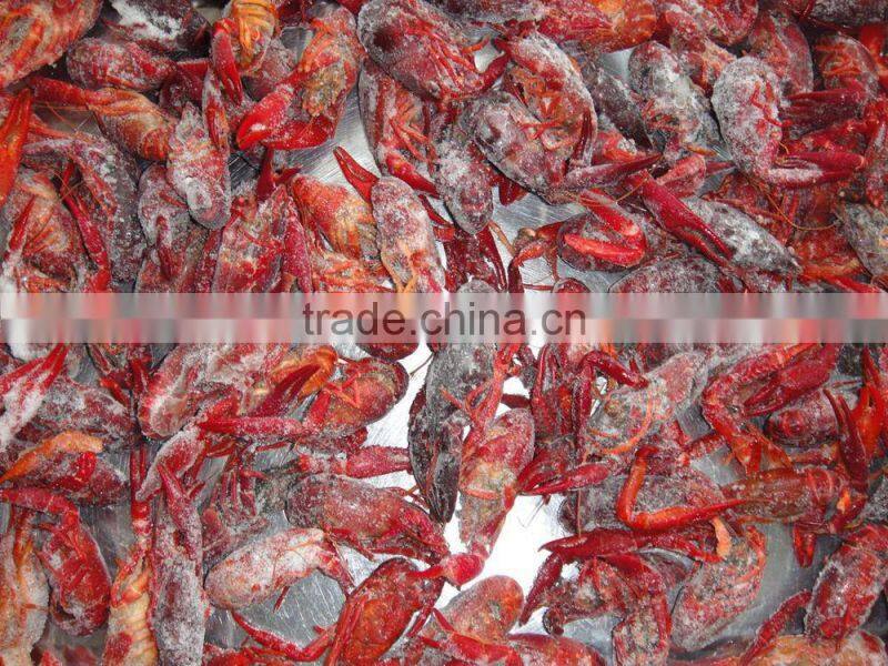 Hot Sale Frozen Crawfish Meat