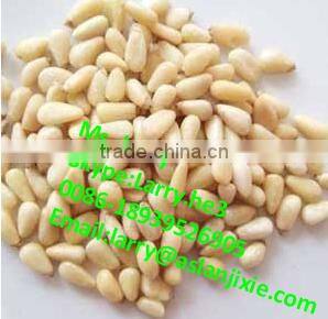 pine cone peeler machine/Siberian pine nuts peeler/peeling machine for pine nuts