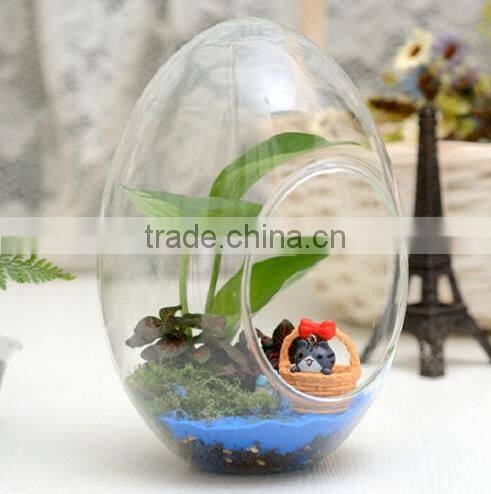 clear egg shape glass Vase glass micro Landscape bottle