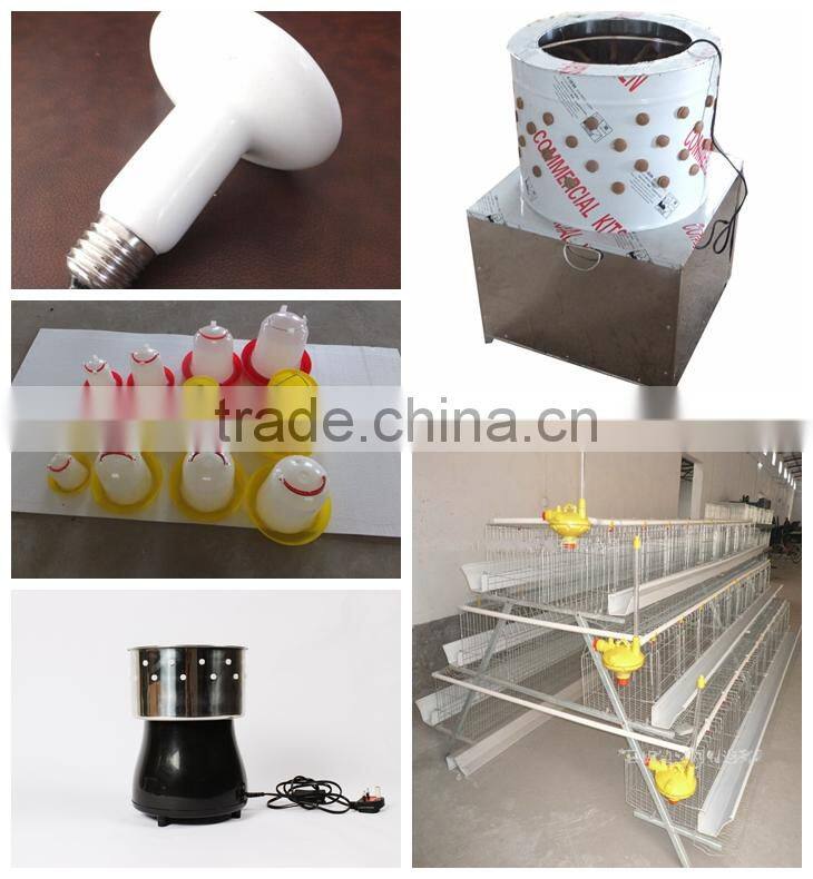 animal UV lamp