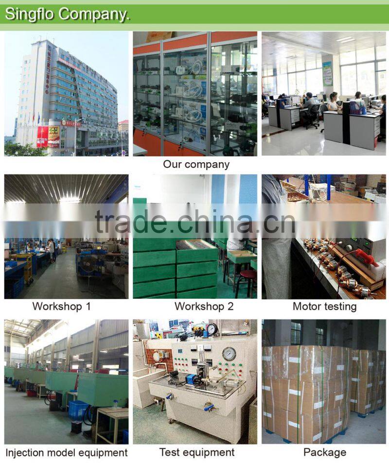 Singflo 12 volt DC water pump/high pressure water pump/ small electric water pump