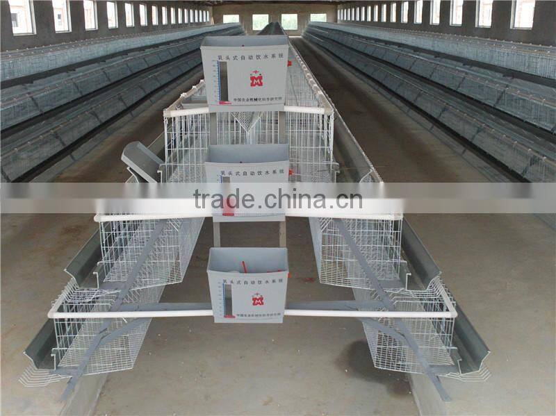 3 and 4 tiers A type layer chicken cages,automatic poultry cages