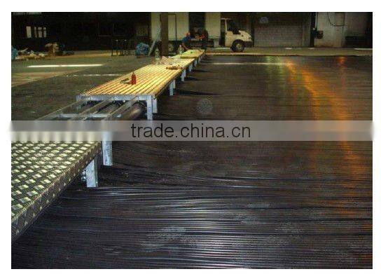 plastic Ice mats for rink,ice rink mat,ice hockey rink mat