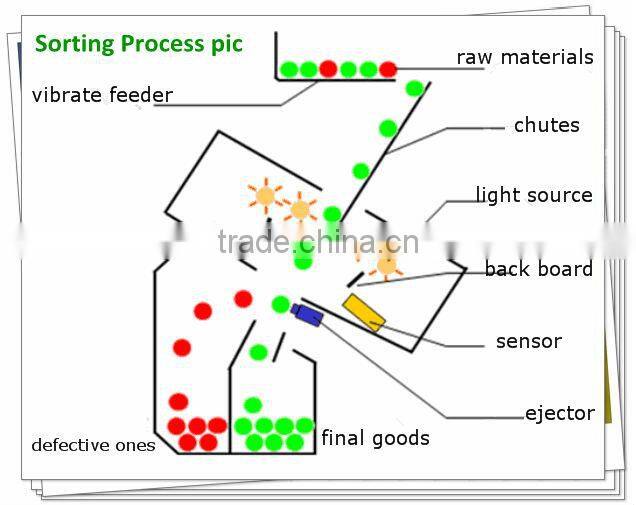 Hot Sales! Peanuts Color Sorter Machine Sorting Machine