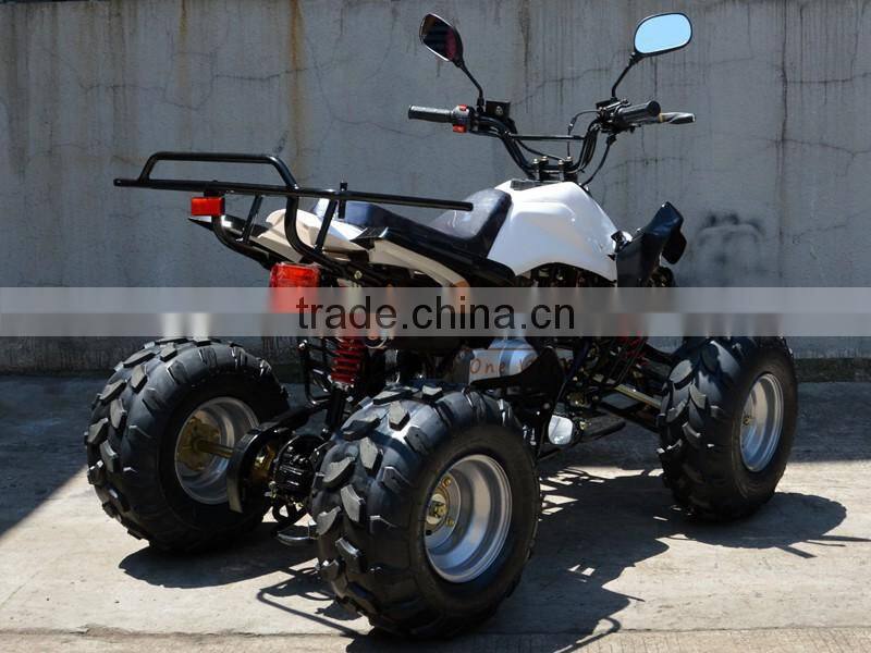 Mini Kids Gas Powered ATV 50cc