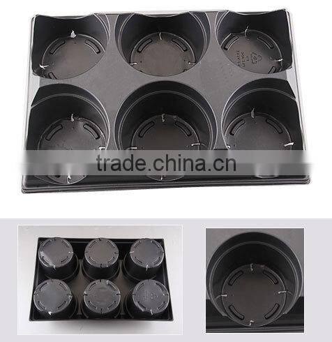 6 park plastic plant carrier