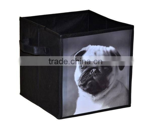 Hot Selling Best Price Front PP Printing Kids Storage Box